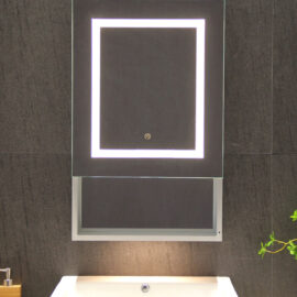 Medicine Cabinet w/Shelf